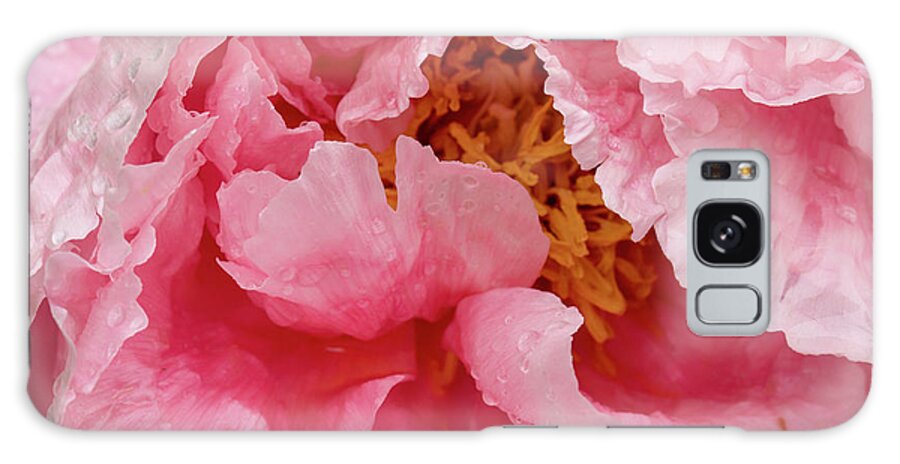 Paeonia Lactiflora Galaxy Case featuring the photograph Petals on Chinese peony abstract background by Karen Foley