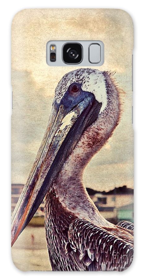 Pelican Galaxy S8 Case featuring the photograph Pete the Pelican by Kelly Nowak
