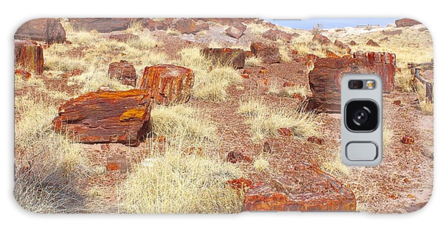 Forest Galaxy Case featuring the photograph Petrified Forest by Barbara Zahno