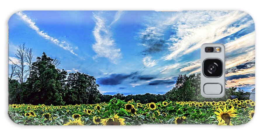 Sunflowers Galaxy Case featuring the photograph Photobomb by Joe Holley