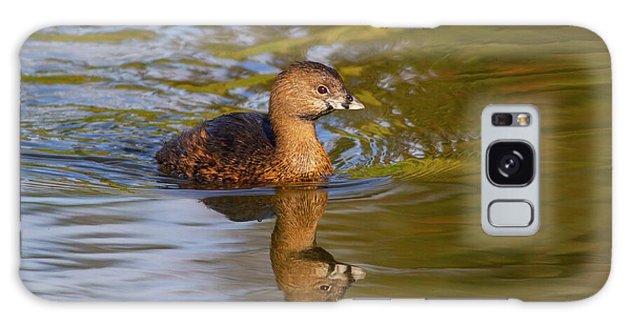 Mark Miller Photos Galaxy Case featuring the photograph Pied-billed Grebe in Golden Light by Mark Miller