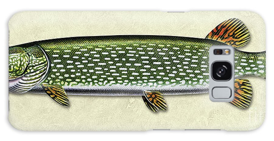 Jon Q Wright Northern Pike Pickeral Freshwater Gamefish Fishing Print Poster Tackle Lake Fish Id Galaxy Case featuring the painting Pike ID by Jon Q Wright