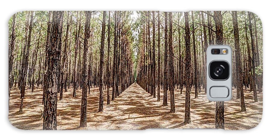 Pine Galaxy Case featuring the photograph Pine Plantation Wide Color by Gulf Coast Aerials -