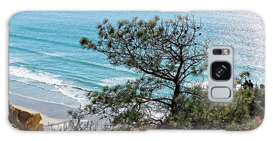 Pine Tree Galaxy Case featuring the photograph Pine tree on coast by Peter Ponzio
