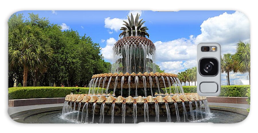 Water Galaxy Case featuring the photograph Pineapple Fountain by Kevin Craft