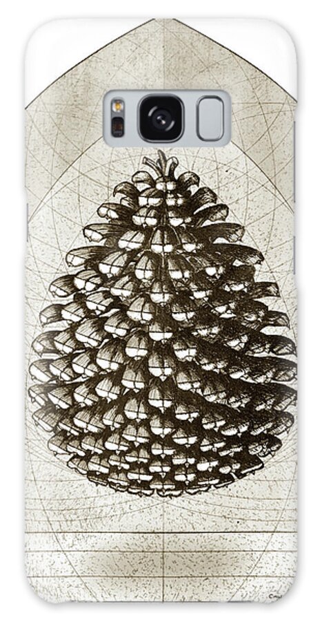 Charles Harden Galaxy Case featuring the drawing Pine Cone by Charles Harden