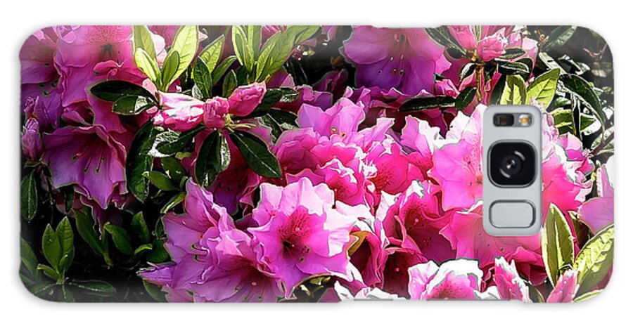 Flowers Galaxy Case featuring the photograph Pink Azaleas by Ed Stines