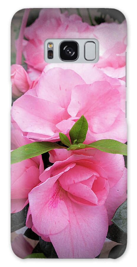 Pink Begonia Galaxy Case featuring the photograph Pink Begonia by Phyllis Taylor