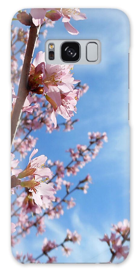 Pink Cherry Blossoms Galaxy S8 Case featuring the photograph Pink Cherry Blossoms Branching Up To The Sky by Kristin Aquariann