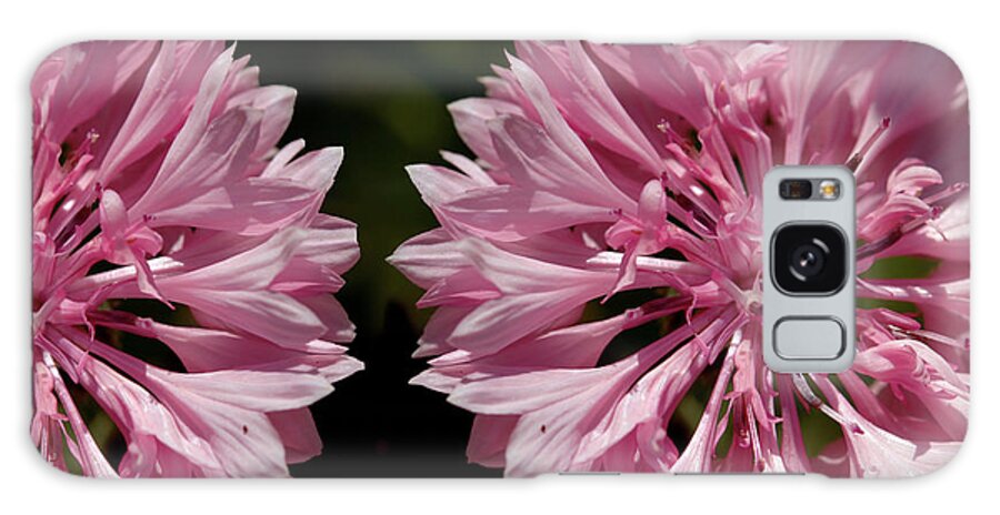 Cornflower Galaxy Case featuring the photograph Pink cornflowers by Stephen Melia