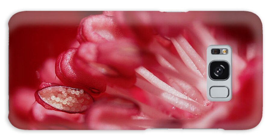 Flower Galaxy Case featuring the photograph Pink Delight by Robert Och