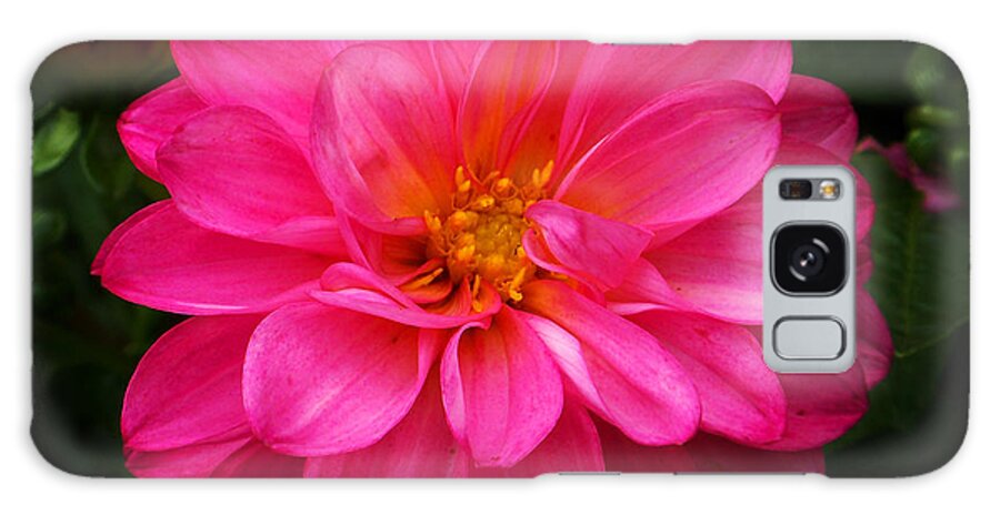Flower Galaxy S8 Case featuring the photograph Pink Flower by Anthony Jones