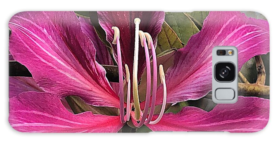 Photograph Galaxy Case featuring the photograph Purple Flower Power by Carol Riddle