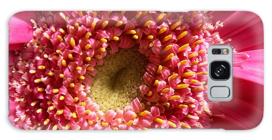 Pink Galaxy Case featuring the photograph Pink Gerbera Daisy by Amy Fose