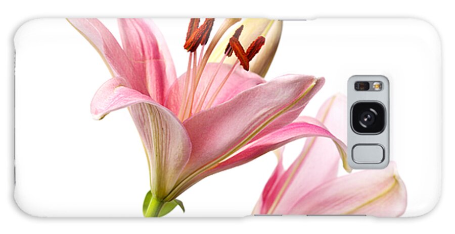 Lily Galaxy Case featuring the photograph Pink Lilies 03 by Nailia Schwarz