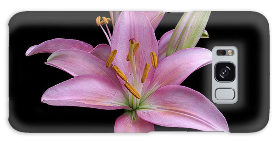 Asiatic Lily Galaxy Case featuring the photograph Pink Lily by Ken Mickel