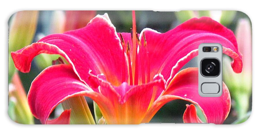 Pink Galaxy Case featuring the photograph Pink Lily photo by Delynn by Delynn Addams