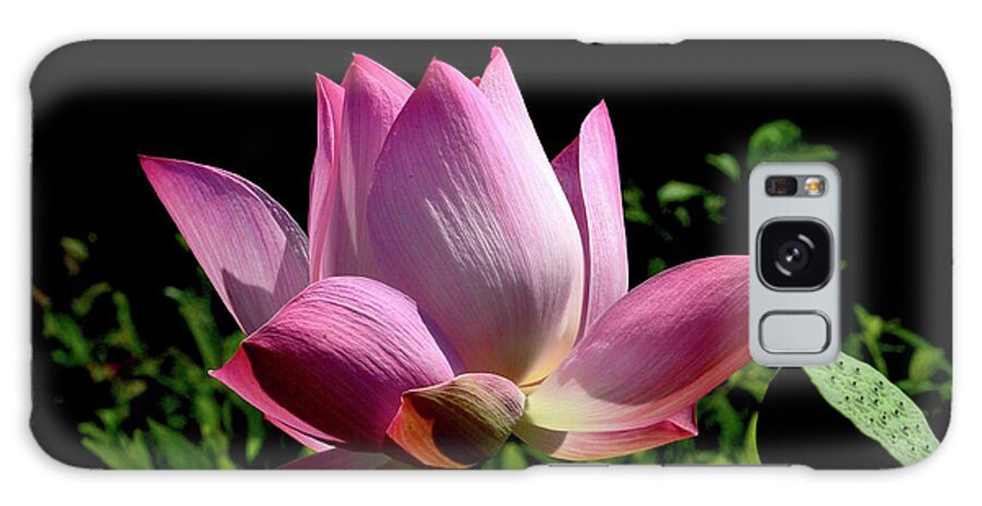 Art Galaxy Case featuring the photograph Pink Lotus by Jeannie Rhode