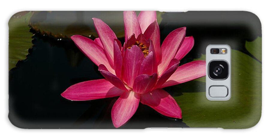 Pink Galaxy Case featuring the photograph Pink Lotus Waterlily by Jackie Irwin