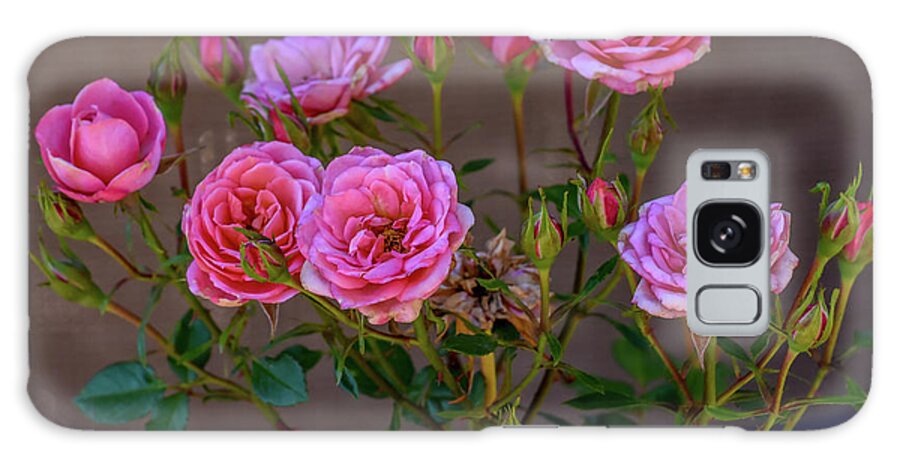 Debra Martz Galaxy Case featuring the photograph Pink Miniature Roses by Debra Martz