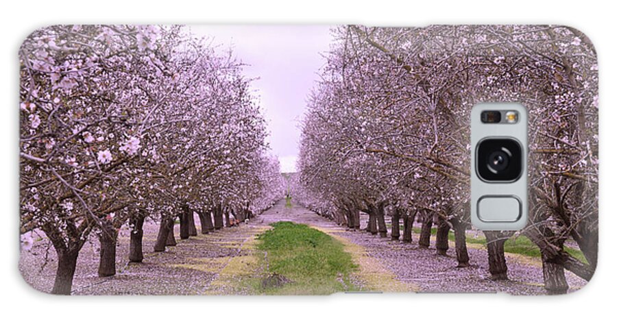 Orchard Galaxy S8 Case featuring the photograph Pink Orchard Trees by Kathy Yates