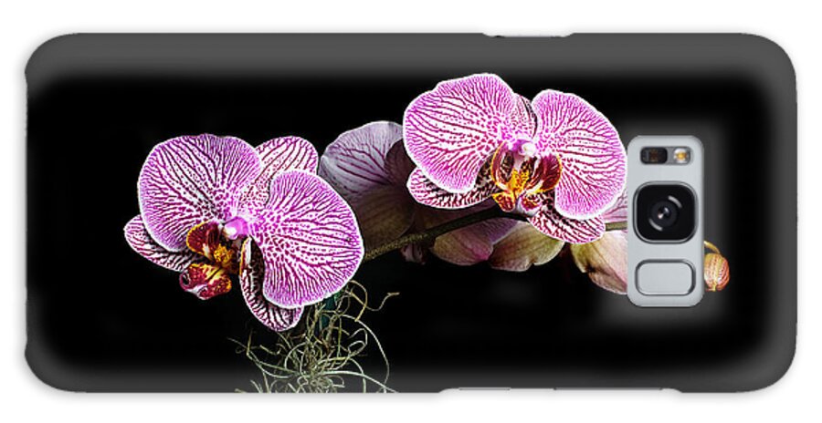 Orchid Galaxy Case featuring the photograph Pink Orchids by Gary Dean Mercer Clark