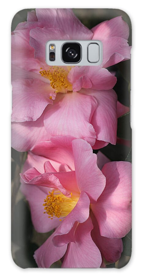 Flowers Galaxy Case featuring the photograph Pink Parfait by Tammy Pool