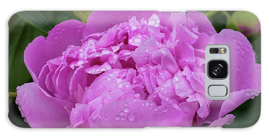 Flowers Galaxy Case featuring the photograph Pink Peony by Steven Clark