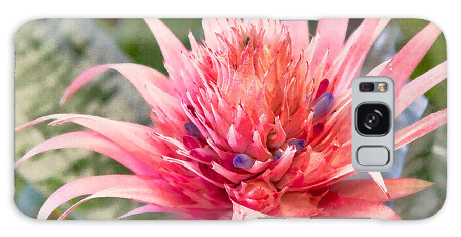 Pink Galaxy Case featuring the digital art Pink Protea Art by Sherry Curry
