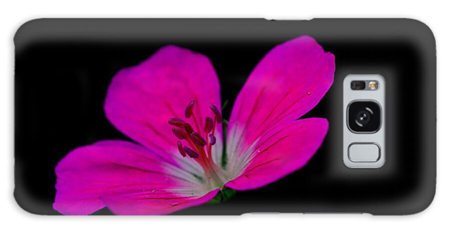Pink Galaxy S8 Case featuring the photograph Pink Stamen by Richard Patmore