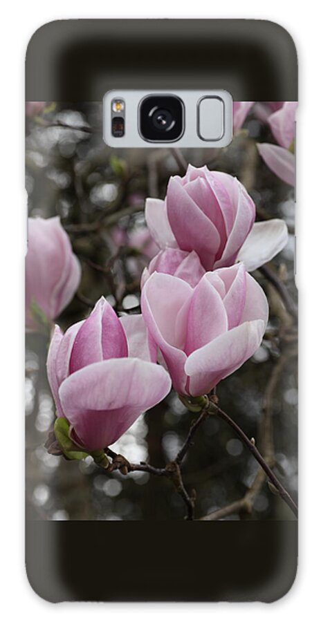 Tulips Galaxy S8 Case featuring the photograph Pink Tulip Tree by Tammy Pool