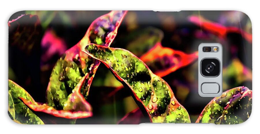Plants Galaxy Case featuring the photograph Plants in the Rain 1 by Kristalin Davis by Kristalin Davis