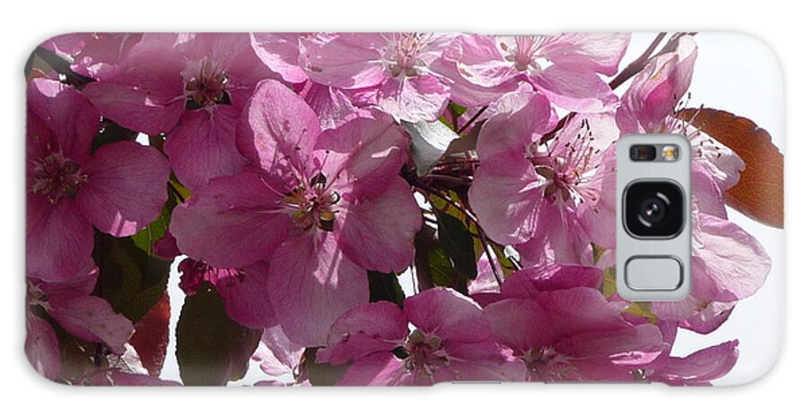 Flowers Galaxy Case featuring the photograph Plum Perfect by Ruth Kamenev