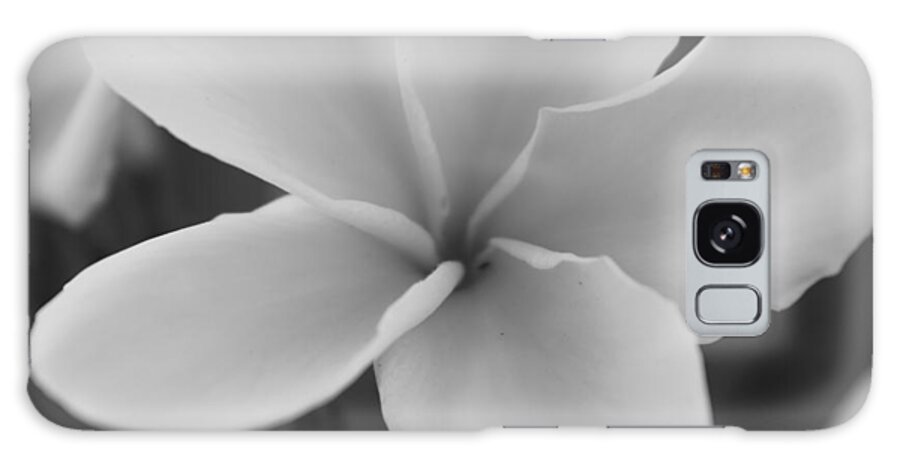 Plumeria Galaxy Case featuring the photograph Plumeria 2 by Kume Bryant