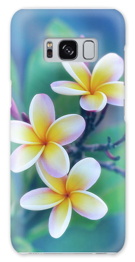 Floral Galaxy Case featuring the photograph Plumerias in Pastel by Jade Moon