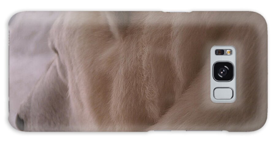 Polar Bear Galaxy S8 Case featuring the photograph Polar Dream by Linda Shafer