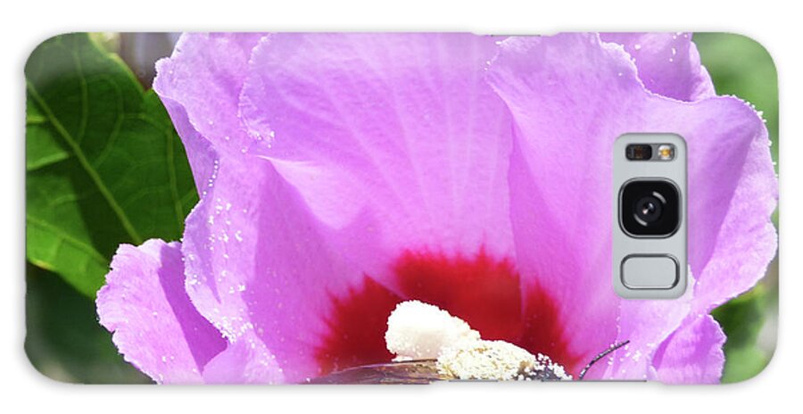 Busy Bees Galaxy Case featuring the photograph Pollination by Leslie Montgomery