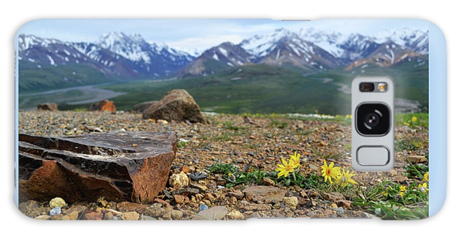 Denali Galaxy Case featuring the photograph Polychrome Pass, Denali by Zawhaus Photography