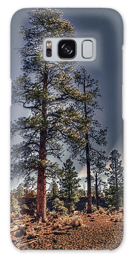 Pictorial Galaxy Case featuring the photograph Ponderosa Pines at the Bonito Lava Flow by Roger Passman