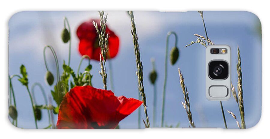 Sun Galaxy Case featuring the photograph Poppies in the skies by Rainer Kersten