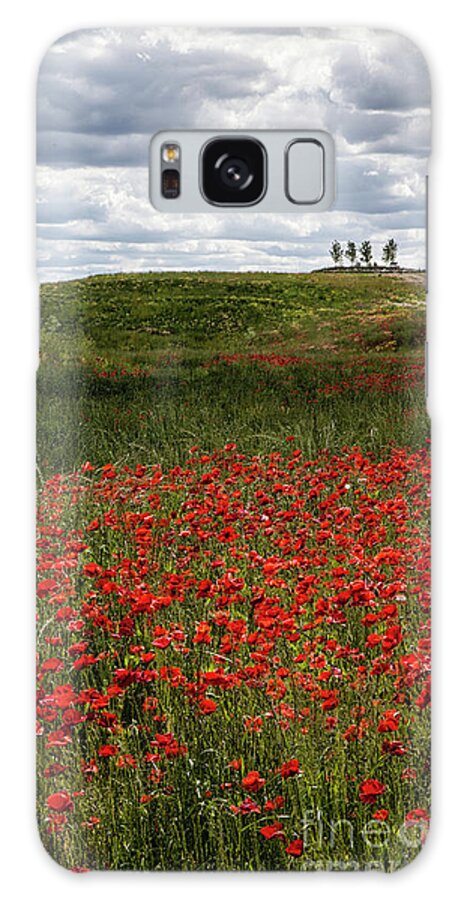 Poppy Field Galaxy S8 Case featuring the photograph Poppy Field by Timothy Johnson