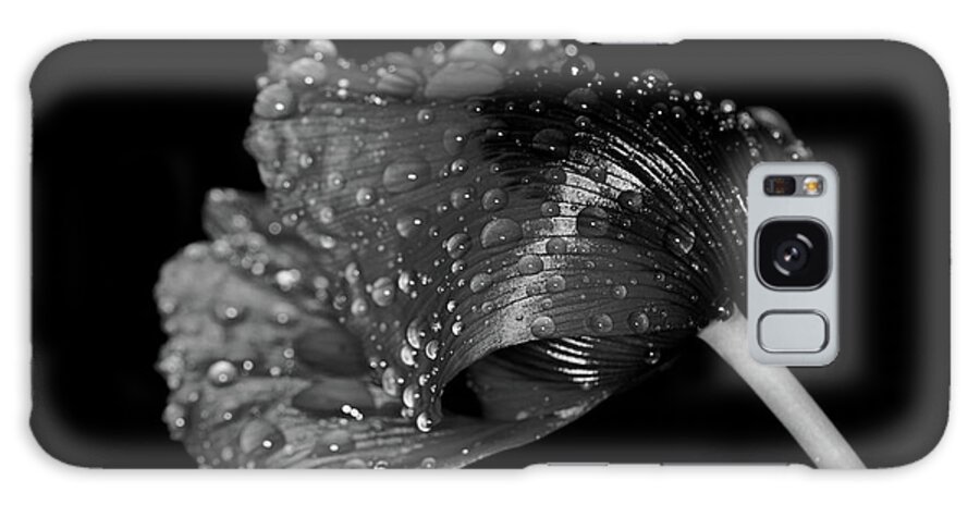 Poppy Flower Monochrome Galaxy Case featuring the photograph Poppy by Ian Sanders