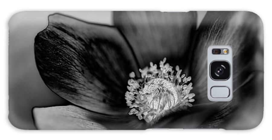 Black & White Galaxy S8 Case featuring the photograph Poppy by Jacqui Boonstra