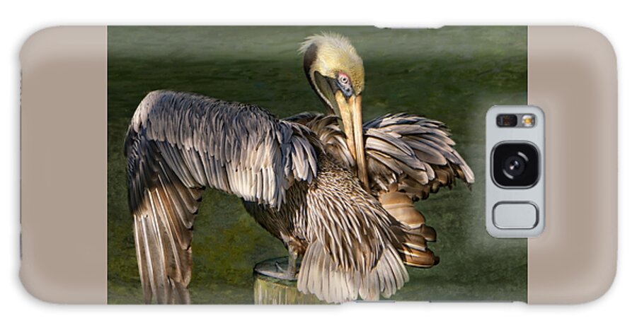 Pelican Galaxy Case featuring the photograph Portrait of a Brown Pelican Preening by Mitch Spence