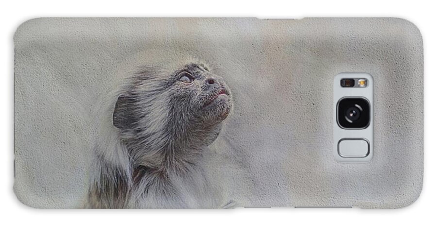 Cotton-top Tamarin Galaxy Case featuring the photograph Portrait of a Dreamer by Eva Lechner
