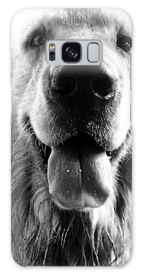 #faatoppicks Galaxy Case featuring the photograph Portrait of a Happy Dog by Osvaldo Hamer