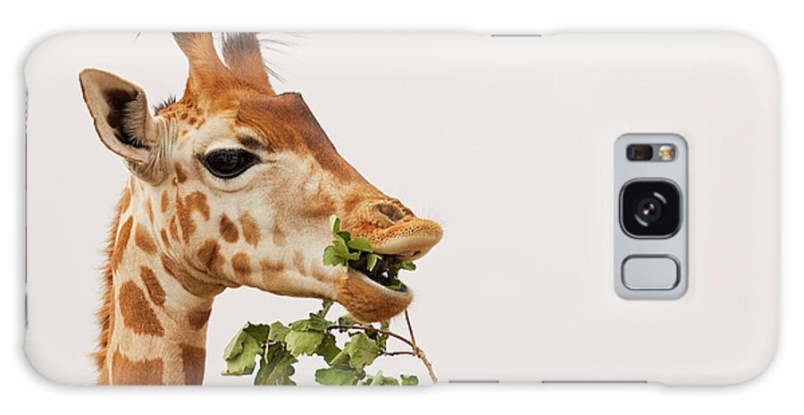 Africa Galaxy Case featuring the photograph Portrait of a Rothschild Giraffe III by Nick Biemans
