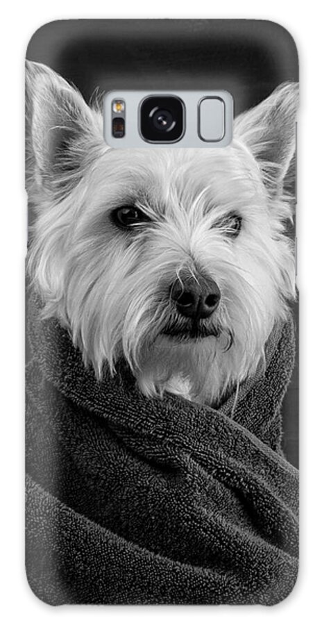 Portrait Of A Westie Dog Galaxy Case featuring the photograph Portrait of a Westie Dog by Edward Fielding