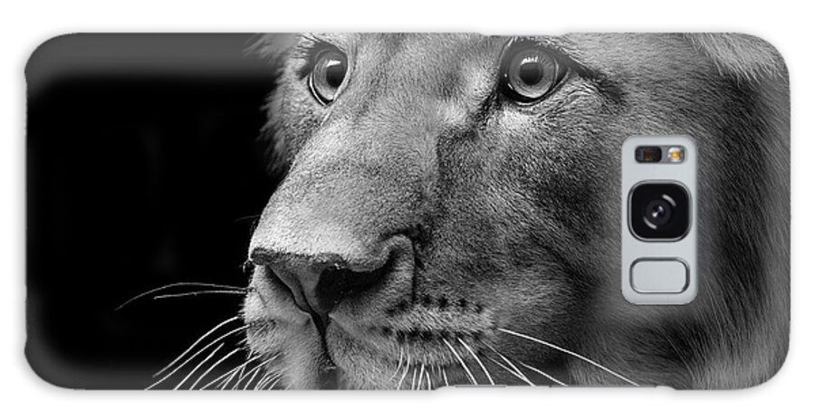 Lion Galaxy Case featuring the photograph Portrait of Lion in black and white II by Lukas Holas
