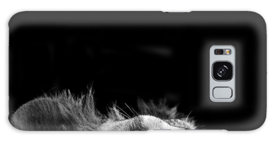 Lion Galaxy Case featuring the photograph Portrait of Lion in black and white III by Lukas Holas